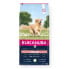 ფოტო #2 პროდუქტის EUKANUBA Senior large&giant lamb with rice 12 kg dog food