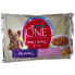 Фото #3 товара PURINA NESTLE One Mini Delicate Salmon And Rice 100g Wet Dog Food 4 Units