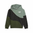 Children’s Sweatshirt Puma Powert