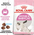 Фото #8 товара Royal Canin Mother & Babycat 4 kg