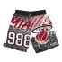 Фото #2 товара Mitchell & Ness Nba Miami Heat