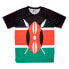 Фото #1 товара HOOPOE Maasai short sleeve T-shirt