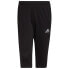 Фото #3 товара ADIDAS Entrada 22 3/4 Pants