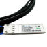 Фото #1 товара BlueOptics UACC-DAC-SFP28-0.5M-BL - 0.5 m - SFP28 - SFP28 - Male/Male - Black - Silver - 25 Gbit/s
