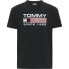 Фото #1 товара Футболка мужская Tommy Hilfiger DM0DM14991BDS