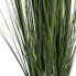 Фото #4 товара Декоративное растение 57 x 53 x 150 cm Зеленый Кремовый PVC