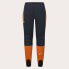 Фото #5 товара OAKLEY APPAREL Seeker Airline pants