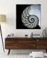 Pearly Nautilus Frameless Free Floating Tempered Glass Panel Graphic Wall Art, 36" x 36" x 0.2"