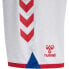 Фото #4 товара HUMMEL Dansk Boldspil-Union Home 20/21 Shorts