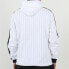 Trendy Puma Pinstripe Hoodie