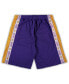 ფოტო #1 პროდუქტის Men's Purple and Gold Los Angeles Lakers Big Tall Tape Mesh Shorts