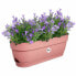 Наружный ящик для растений Elho Розовый Пластик