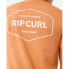 Фото #5 товара RIP CURL Stapler short sleeve T-shirt