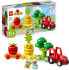 Фото #1 товара LEGO 10982 DUPLO My First Fruit and Vegetable Tractor, Sorting and Stacking Toy for Babies and Toddlers Aged 1 and 10981 DUPLO My First Growing Carrot