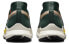 Кроссовки Nike Pegasus Trail 4 Gore-Tex FD0317-333