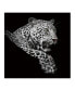 Фото #3 товара Leopard In And Acrylic Wall Art (40 H X 40 W)