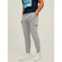 Фото #1 товара JACK & JONES Cargo St Gordon Shark sweat pants