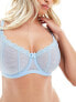 Ivory Rose Fuller Bust Vienna DD-G mesh balconette bra in blue