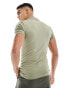 ASOS DESIGN muscle fit polo in khaki