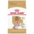 Фото #2 товара ROYAL CANIN Yorkshire Terrier 8+ 3kg Dog Food