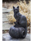 Фото #3 товара Cat on Pumpkin Garden Statue