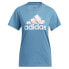 ფოტო #1 პროდუქტის ADIDAS IWD Graphic short sleeve T-shirt
