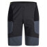 Фото #1 товара MONTURA Block Light Shorts