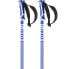 Фото #2 товара SALOMON X 08 Race Poles