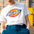 T-shirt Dickies LogoT DK006909C4D