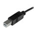 Фото #2 товара STARTECH -B-C 1 m USB Cable