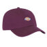 Фото #2 товара DICKIES Hardwick Cap