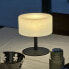 Фото #2 товара Декоративная настольная лампа Lumisky Atlas Rock из полиэтилена