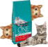 Фото #6 товара PURINA NESTLE PURINA ONE Sterilcat Wołowina 9,75kg