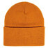 Фото #2 товара FASTHOUSE Erie Beanie