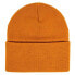 Фото #3 товара FASTHOUSE Erie Beanie