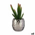 Фото #1 товара Декоративное растение Кактус Керамика Пластик Ibergarden 10 x 20 x 10 см (6 штук)