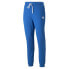 Puma Tmc X Everyday Hussle Drawstring Sweatpants Mens Blue Casual Athletic Botto