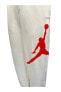 Фото #5 товара Jordan Jumpman Logo Men's Fleece Pants Eşofman Altı