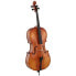 Hidersine Vivente Academy Cello Set 4/4