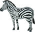 Фото #1 товара Figurka Collecta Zebra Common (004-88830)