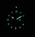 Фото #10 товара Наручные часы Citizen Mens PROMASTER Diver Solar BN4021-02E