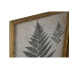 Картина Home ESPRIT папоротник-орляк Cottage 50 x 2,5 x 70 cm (4 штук)