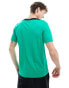 Nike Football Strike t-shirt in green