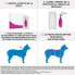 FRONTLINE 3 Tri-Act-Pipetten - Fr Hunde von 20 bis 40 kg