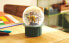 Children’s dinosaur snow globe