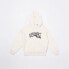 Фото #2 товара VOLCOM Tookool hoodie