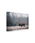 Adam Mead Solitary Bison I Canvas Art - 20" x 25"