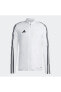 Фото #5 товара Куртка Adidas TIRO23 Light Trax JKT