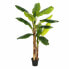 Фото #1 товара Декоративное растение 103 x 95 x 200 cm Зеленый PVC Банан