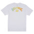 BILLABONG Arch Fill UV short sleeve T-shirt